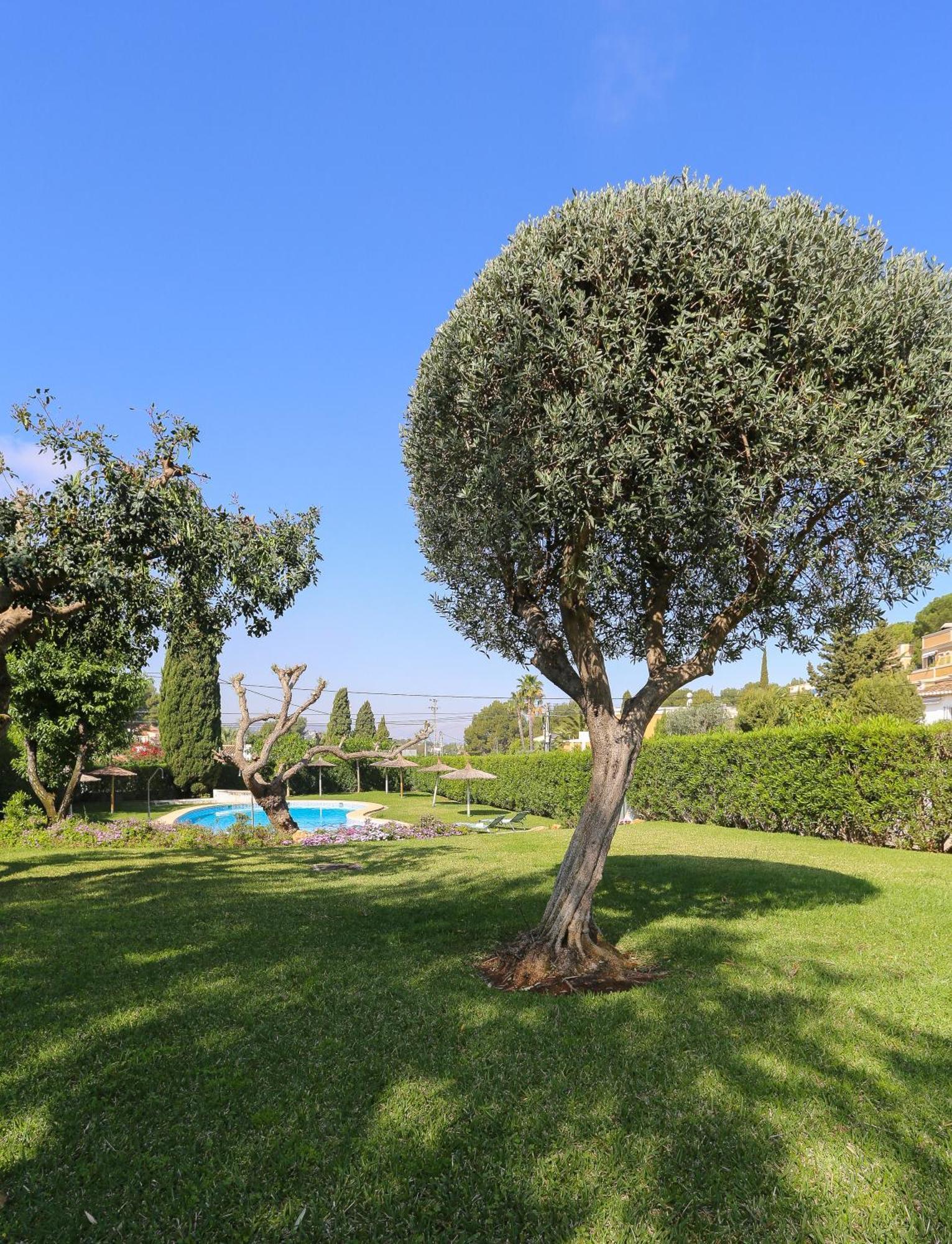 Retiro Sol - Apartamento Montesol B22 Dénia Exterior foto
